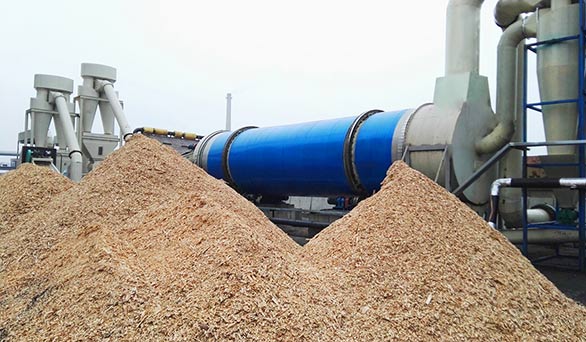 木屑烘干設(shè)備干料圖