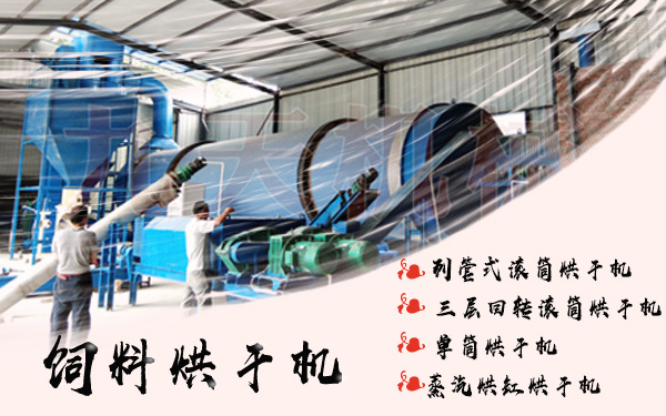 飼料烘干機(jī)滾筒結(jié)構(gòu)圖